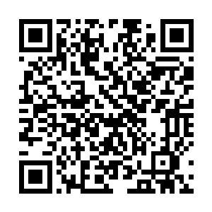 冯文博自然是很高兴跟周新平这个中医界泰斗人物会餐二维码生成