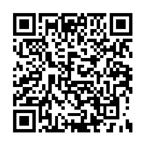 冯曼兄弟来到云东没有多久就出了这样的事情了二维码生成