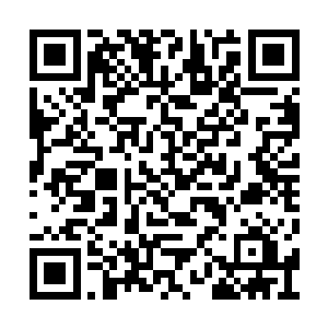 冰冷的僵尸躯体似乎都被染上了一层激动的红色二维码生成