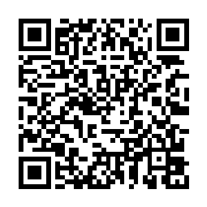 冰冻的河流上的冰晶浪花和其中栩栩如生的鱼群二维码生成