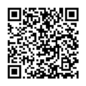 冰原巨熊部落只要帮忙确定一下这都城的选址就好了二维码生成