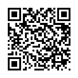 冰雪中还生长了一些耐寒的野草野花二维码生成