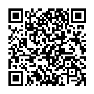 冰魔族同样也不愿在还没见到九幽雏凤之前便跟阴葵族缠斗起来二维码生成