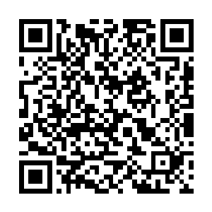 冲在最前面的蝙蝠妖兽立即就被收入了山河社稷图中二维码生成