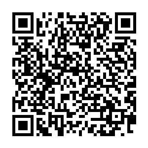 冲着一群目瞪口呆的望着阵内的元婴期修士嘲弄似的哈哈狂笑了起来二维码生成