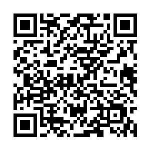 决定下来贝海这边就和瑞贝卡签下了全权代理合同二维码生成