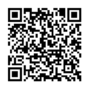 决定从自己院子这边抽出一个婆子来看管这道门二维码生成