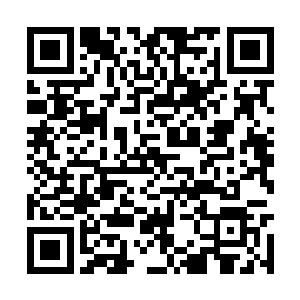 况且之前的事情也是周青莲对一个小孩子出手在先二维码生成