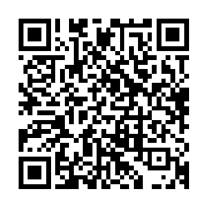 况且人家解说也就是说飞天猫的豹女能和世界顶级中单的豹女比二维码生成