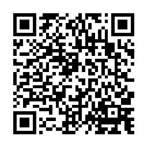 况且他只是辅国公的外孙……辅国公更重视自己的孙子二维码生成