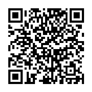 况且凭借皇家魔武学院的实力想要取得冠军不是轻而易举吗二维码生成