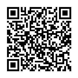 况且实战的法术都是她目前能用速成类最顶尖的二维码生成