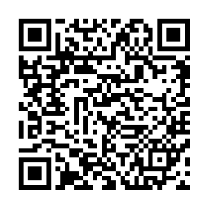 冷不防一只染了丹蔻的纤纤玉手伸出来在他脑门上拍了一记二维码生成