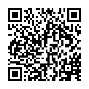 冷二拥有的法则之力证明这个世界上还有法则存在二维码生成