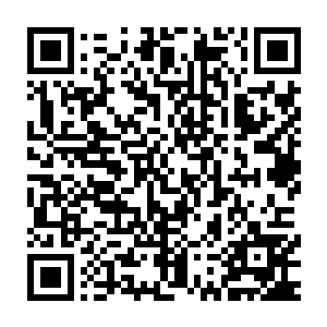 冷冷地观察着贪婪的人类或其他生物打量着秘密花园里的珍稀魔药二维码生成