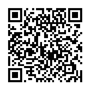 冷冽地瞥了一眼蹲在那儿牢牢地抱着峰峰的慕初夏之后二维码生成