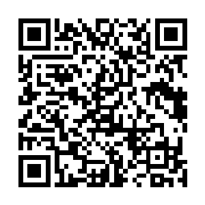冷君涵一回头就看到漂亮的小宝哥哥站在树下朝自己招手二维码生成