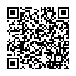 冷轩和那两名烛龙派成员的身形再次出现在了众人的视线中二维码生成