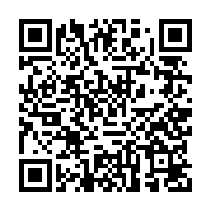 冷轩忽然瞧见那石缝里面好像有什么东西在蠕动二维码生成