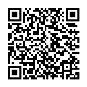 冷静似乎已经成为生命最重要选项的高冠没有出现任何异常慌乱二维码生成