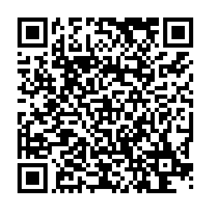准备将皓宇宗一锅端了……更不知道沈道友什么时候已经暗中布置了阵法……二维码生成