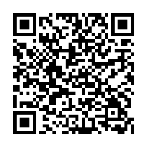 准备拿她交换落不凡手里的紫晶灵石和千年血参二维码生成