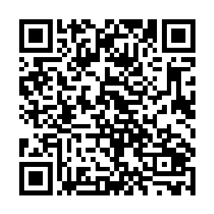 准备看夏天去对付对面的那二十多个六鼎九阶的高手二维码生成