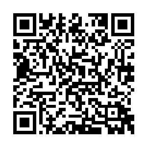 准备继续卧在草丛里等待那些觅食的兔子和野鸡二维码生成