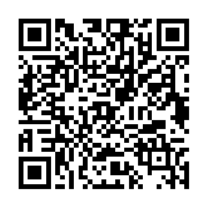 准确的说……是那个立志留守的最后一名技术人员二维码生成