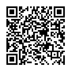 准确的说有点儿像自己刚担任丰州市长时候的状态二维码生成
