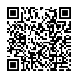 凌兰甚至不知道自己什么时候被学习空间踢回去的二维码生成