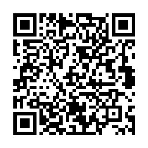 凌空扑向了那只正奔着自己而来的四臂猿扑了过去二维码生成