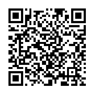 凌菲和其他人也闻到了广场那边传来的各种掺杂在一起的香味二维码生成
