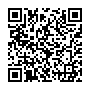 凌菲平时就把治疗发烧的草药晒干后配好包在一起二维码生成