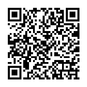 凌菲感觉没和龙战说几句话就返回到了飞龙部落二维码生成