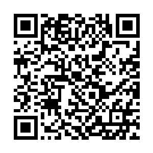 凌菲拿到锯子便让几个人稍微的控制一下受伤的雪狼二维码生成