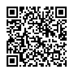 凌菲本来想尽快将陶碗之类的东西投入正常的使用之中二维码生成