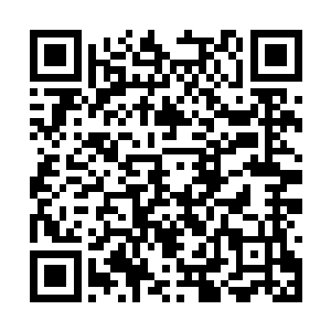 凌菲花了好半天才从头到尾检查完两只受伤的雪狼二维码生成