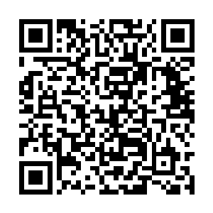 凌菲要是有什么闪失那他可真是承担不起这个责任二维码生成