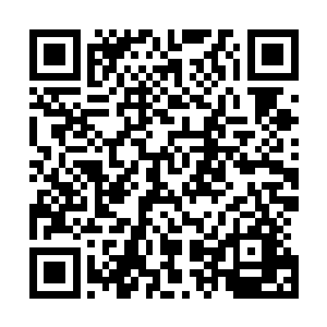 凌蘭刚刚想好了万一事情真发展到最糟糕结果时的应对方法二维码生成