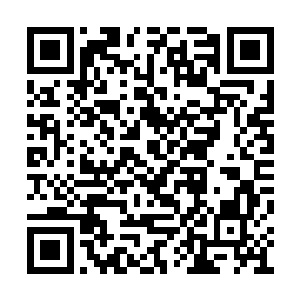 凌雪鹫的爷爷每年都要给学校一大笔助学基金呢二维码生成