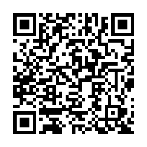 凌霄大将并不想看他儿子苦心经营的250机甲团就此面灭于大众二维码生成