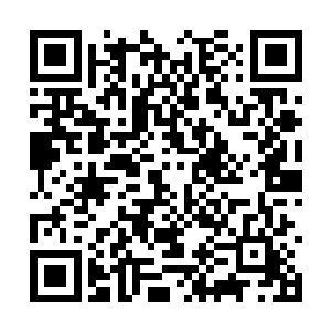 凌霄宗诸人霎时间感觉自己似乎落进滚滚血河之中二维码生成