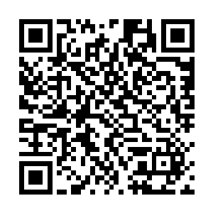 凑到了贝海的面前伸出了手掌在贝海的额头上试了一下二维码生成