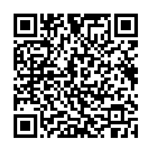 凝蓄已久的主炮对着两界树的根系一击轰出……其色二维码生成