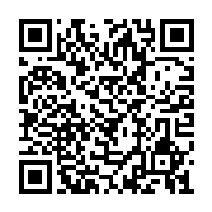 几万年的历史……纯粹的人力不可能管理得过来二维码生成