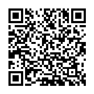 几个人猫在那里一直等到晚上两点钟才开始行动二维码生成