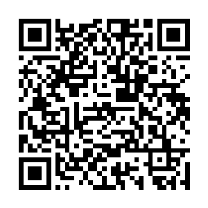 几个人的脸上顿时也是露出了一抹无比疑惑的神情二维码生成