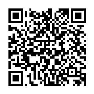 几个侍卫上前在大队的人马还没到台阶下之前拦住了他们的去路二维码生成
