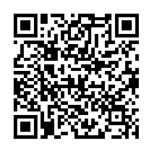 几个年轻的贵族少年忍不住为马文的动作欢呼起来二维码生成